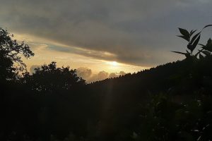 20240604_181236