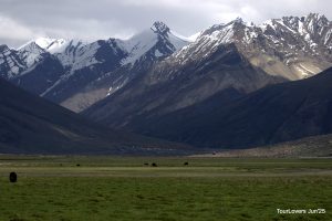 IMG_3210
