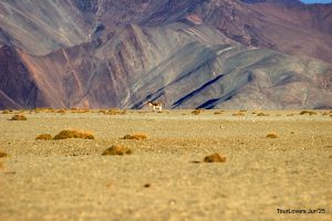 IMG_3948